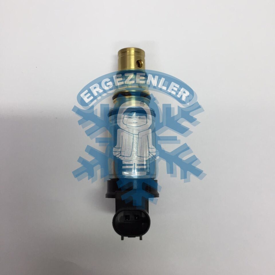 BMW SANDEN SELENOID VALF