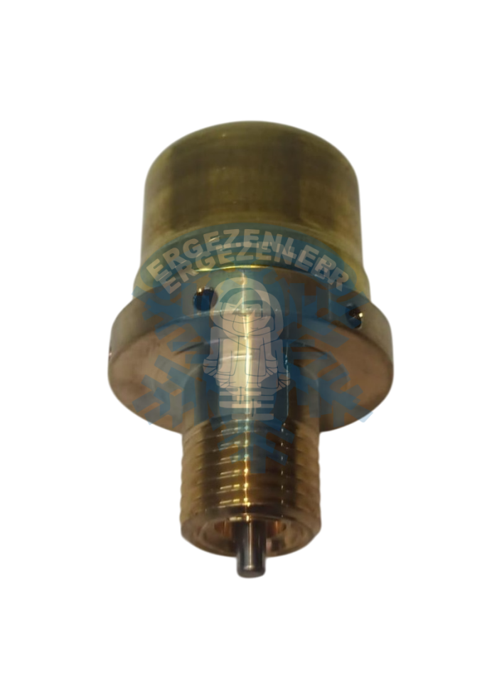 RENAULT GRUBU SARI SELENOİD VALF