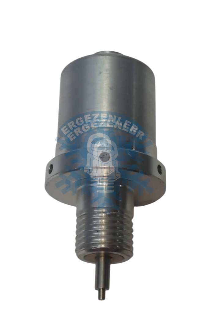 RENAULT GRUBU GRİ  VALF