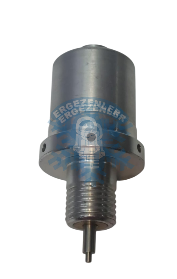 RENAULT GRUBU GRİ  VALF