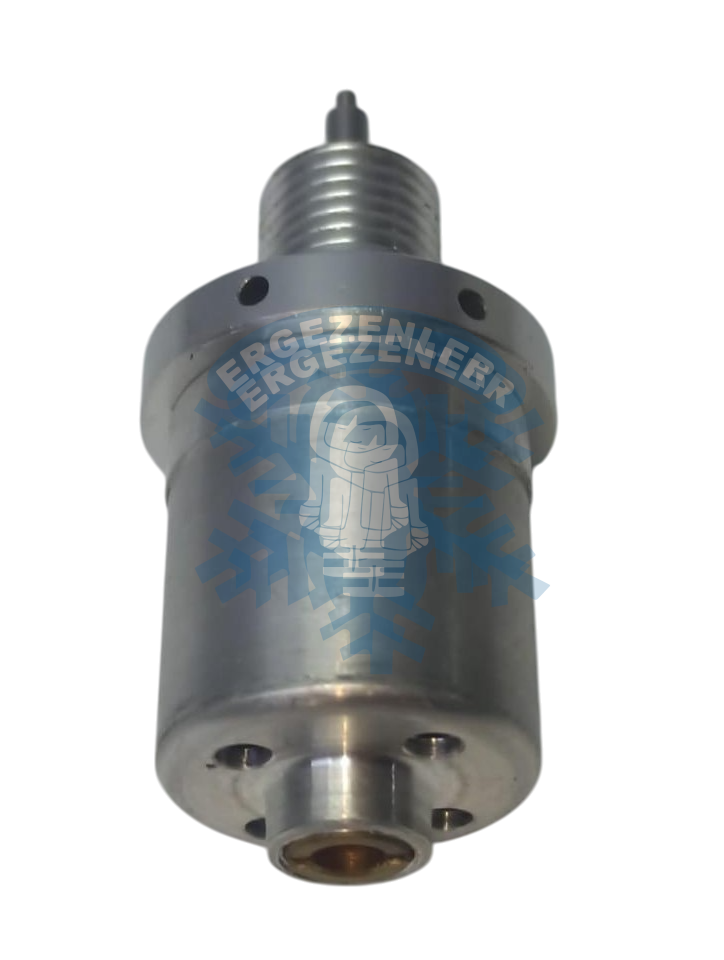 RENAULT GRUBU GRİ  VALF