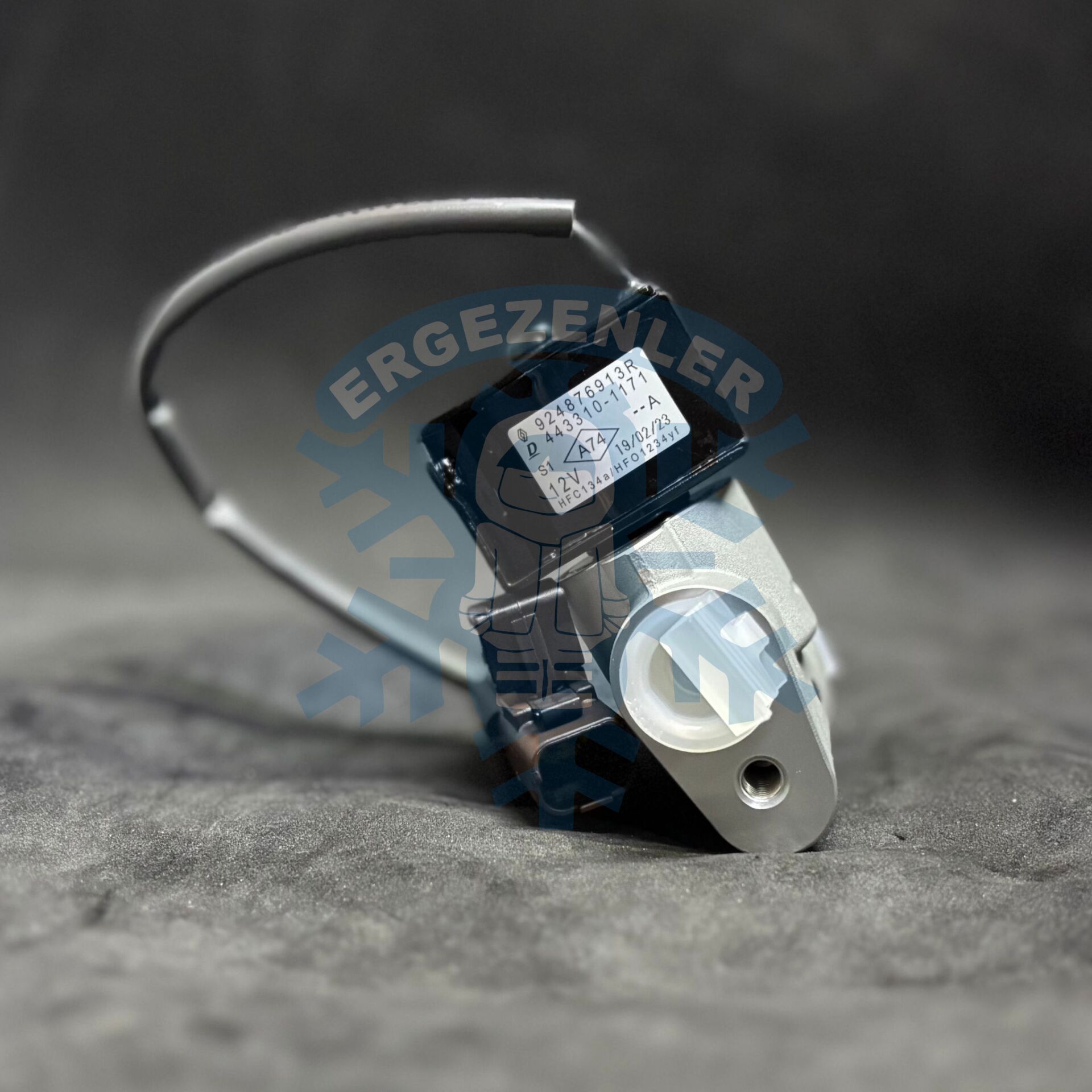 RENAULT ZOE EXPANSİON VALF OE: 924876913R