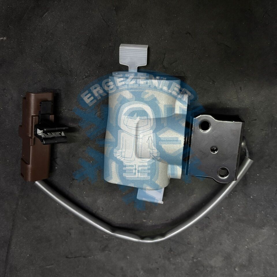 RENAULT ZOE EXPANSİON VALF OE: 924876913R