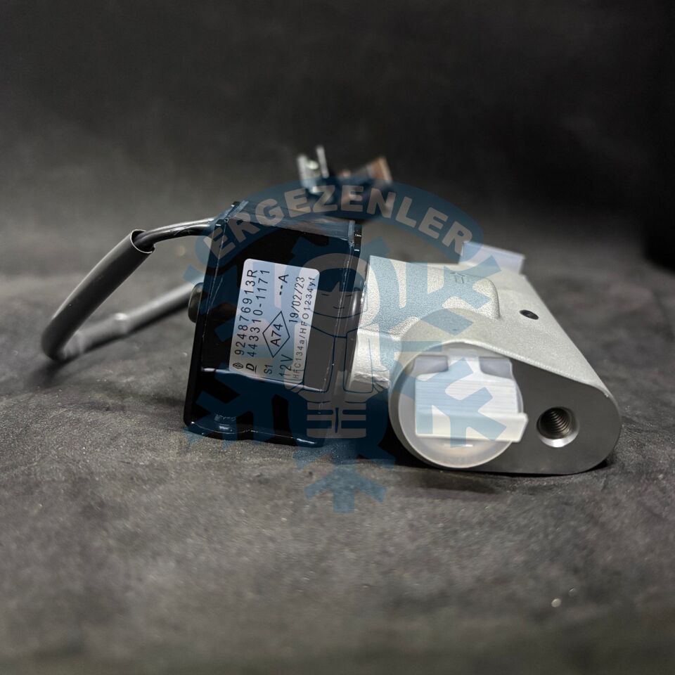 RENAULT ZOE EXPANSİON VALF OE: 924876913R