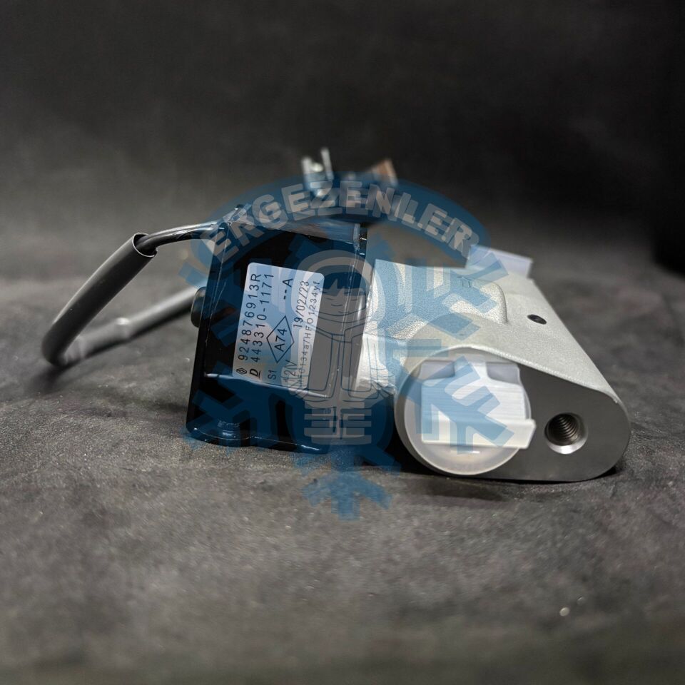 RENAULT ZOE EXPANSİON VALF OE: 924876913R