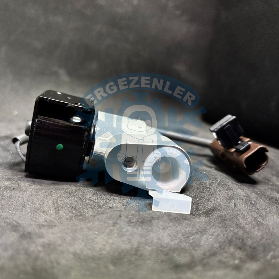 RENAULT ZOE EXPANSİON VALF OE: 924876913R