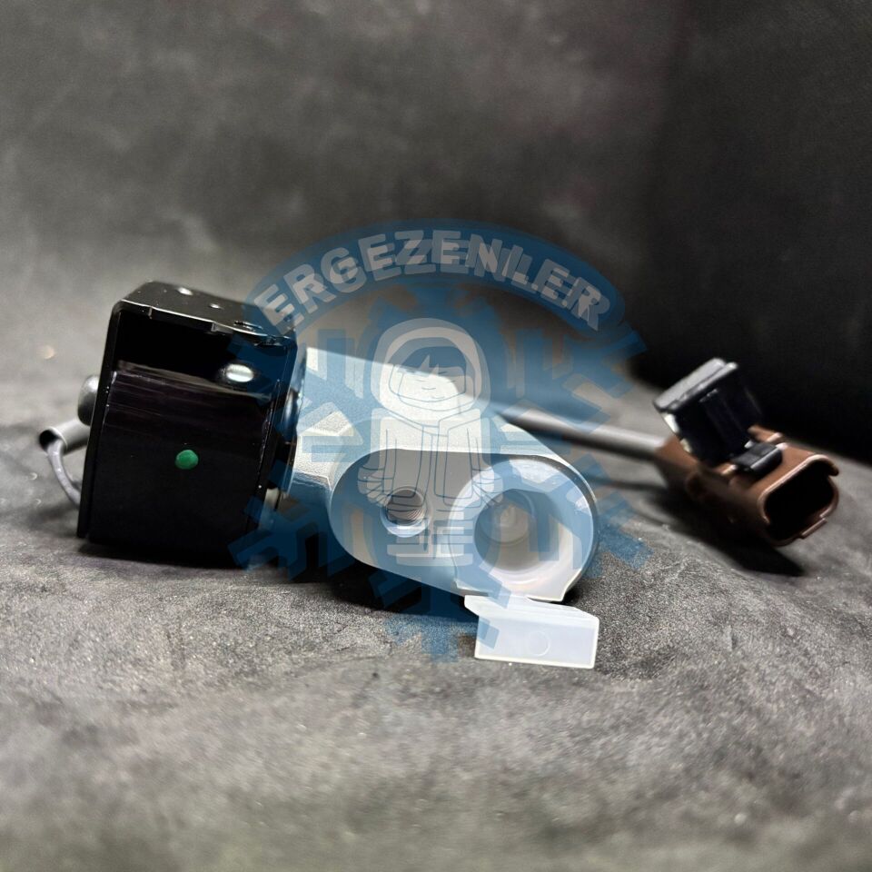 RENAULT ZOE EXPANSİON VALF OE: 924876913R