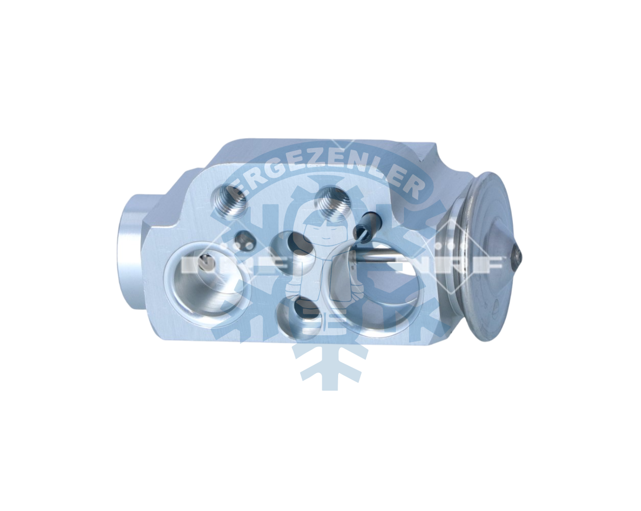 SEAT ALHAMBRA 2 2010-2022 EXPANSİON VALF