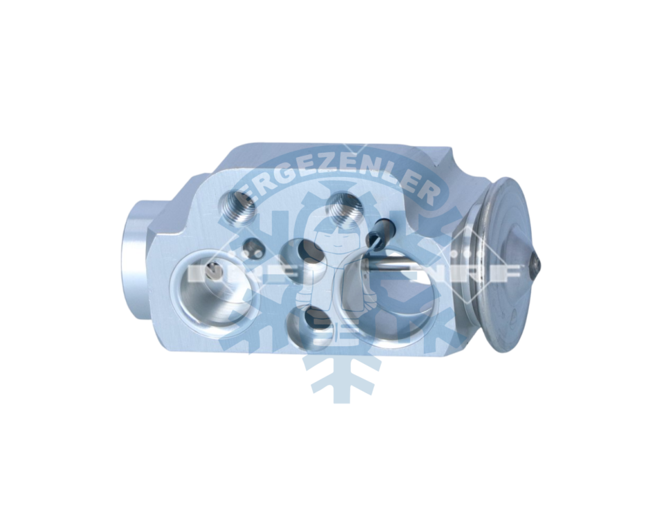 SEAT ALHAMBRA 2 2010-2022 EXPANSİON VALF