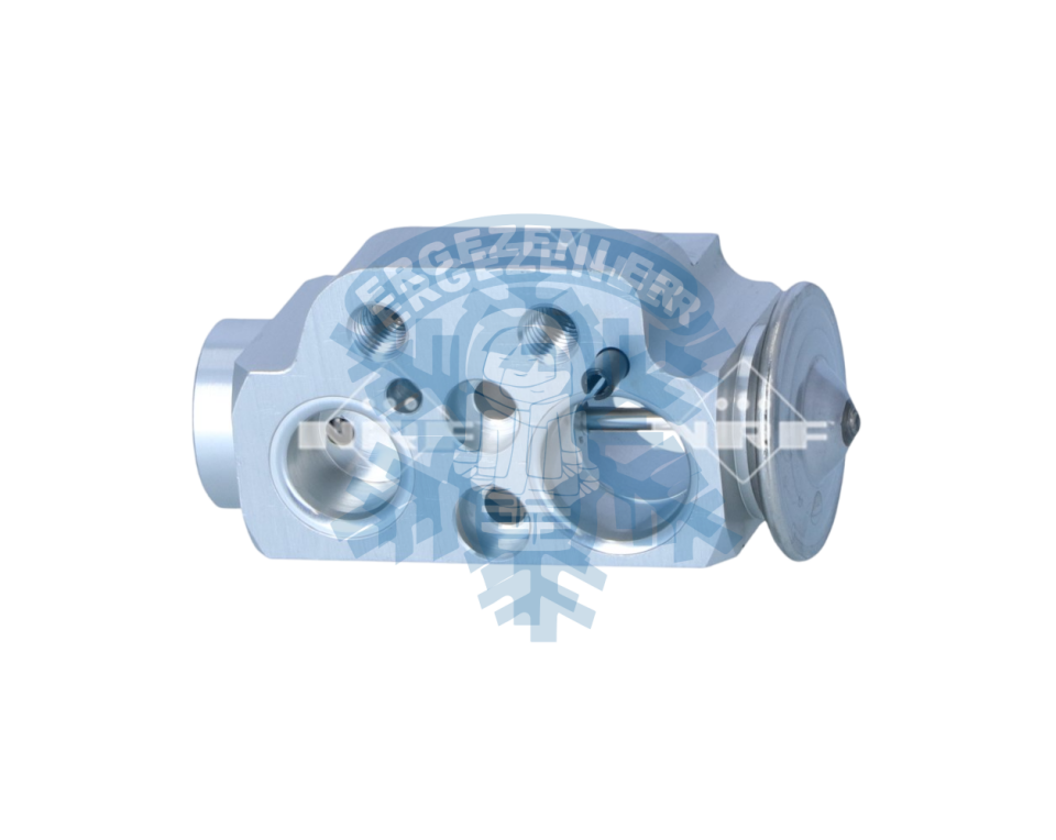 SEAT ALHAMBRA 2 2010-2022 EXPANSİON VALF